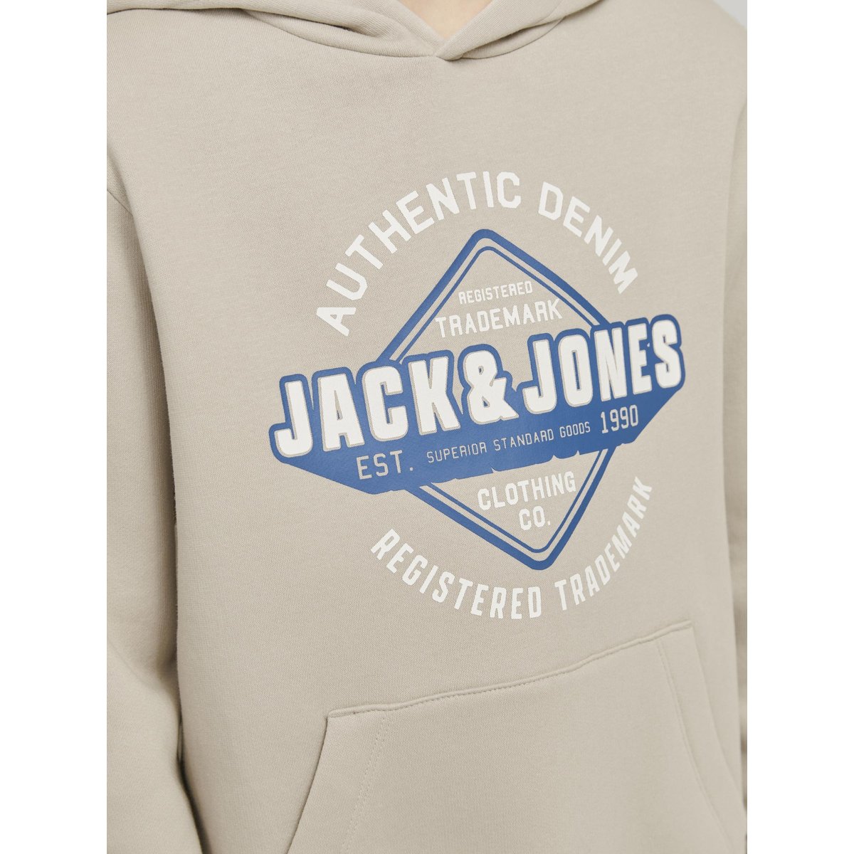 Sweat À Capuche moonbeam, JACK & JONES JUNIOR