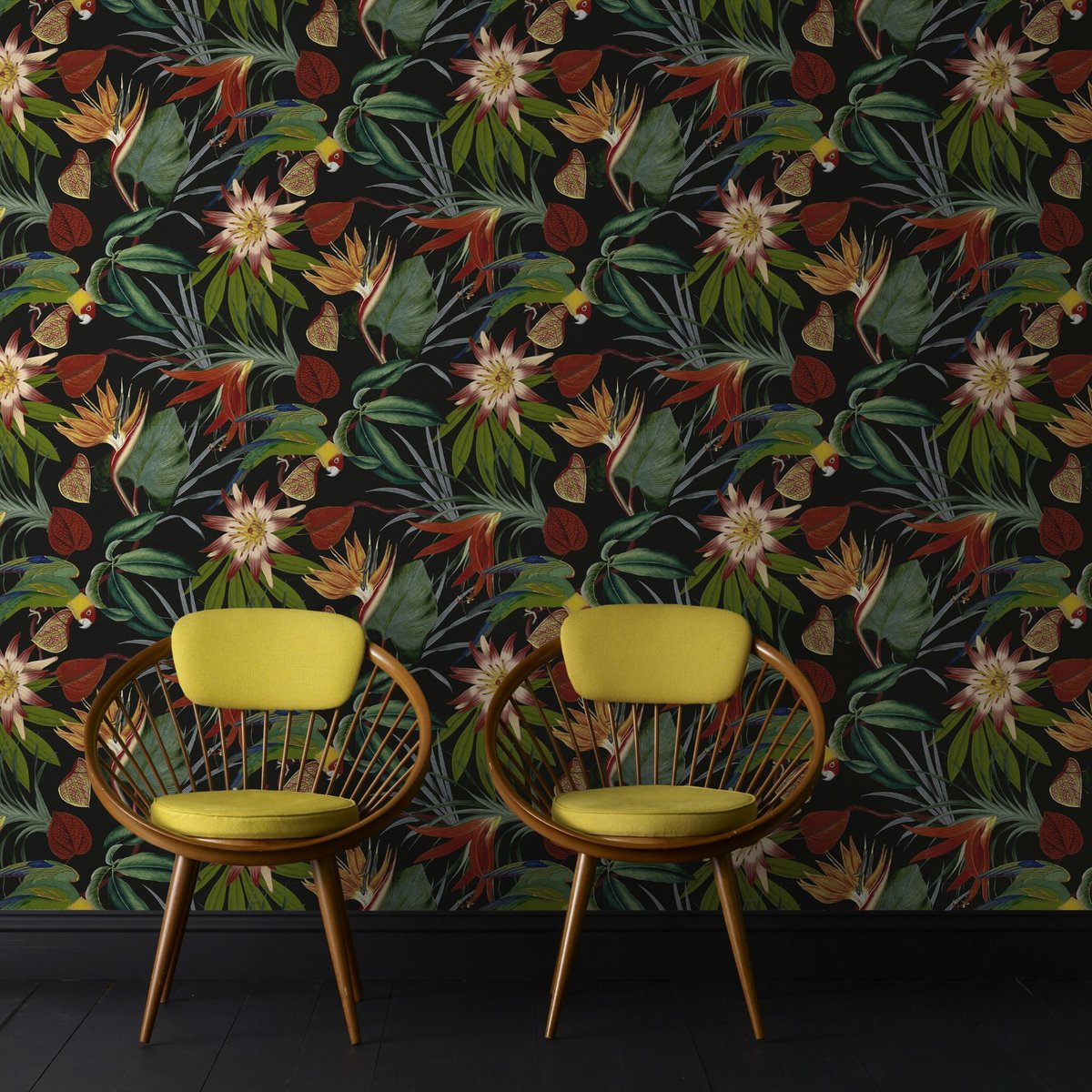 Papier peint Oiseaux Perroquet des îles noir, WOW