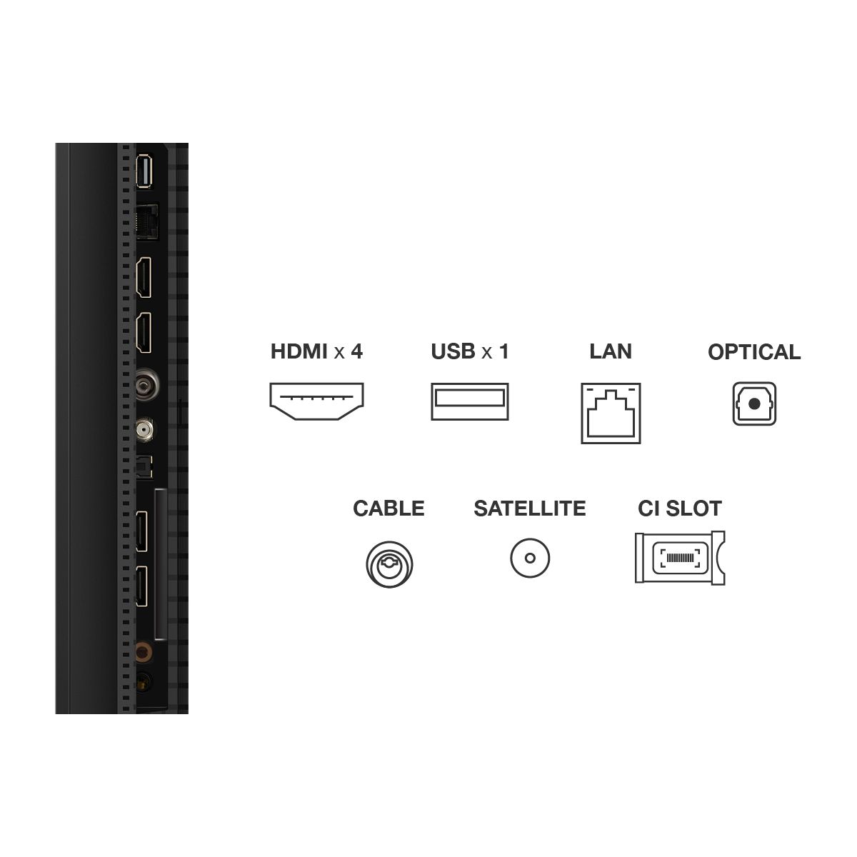TV Mini LED 50C69K (2026) 50" (126 cm) couleur unique, TCL