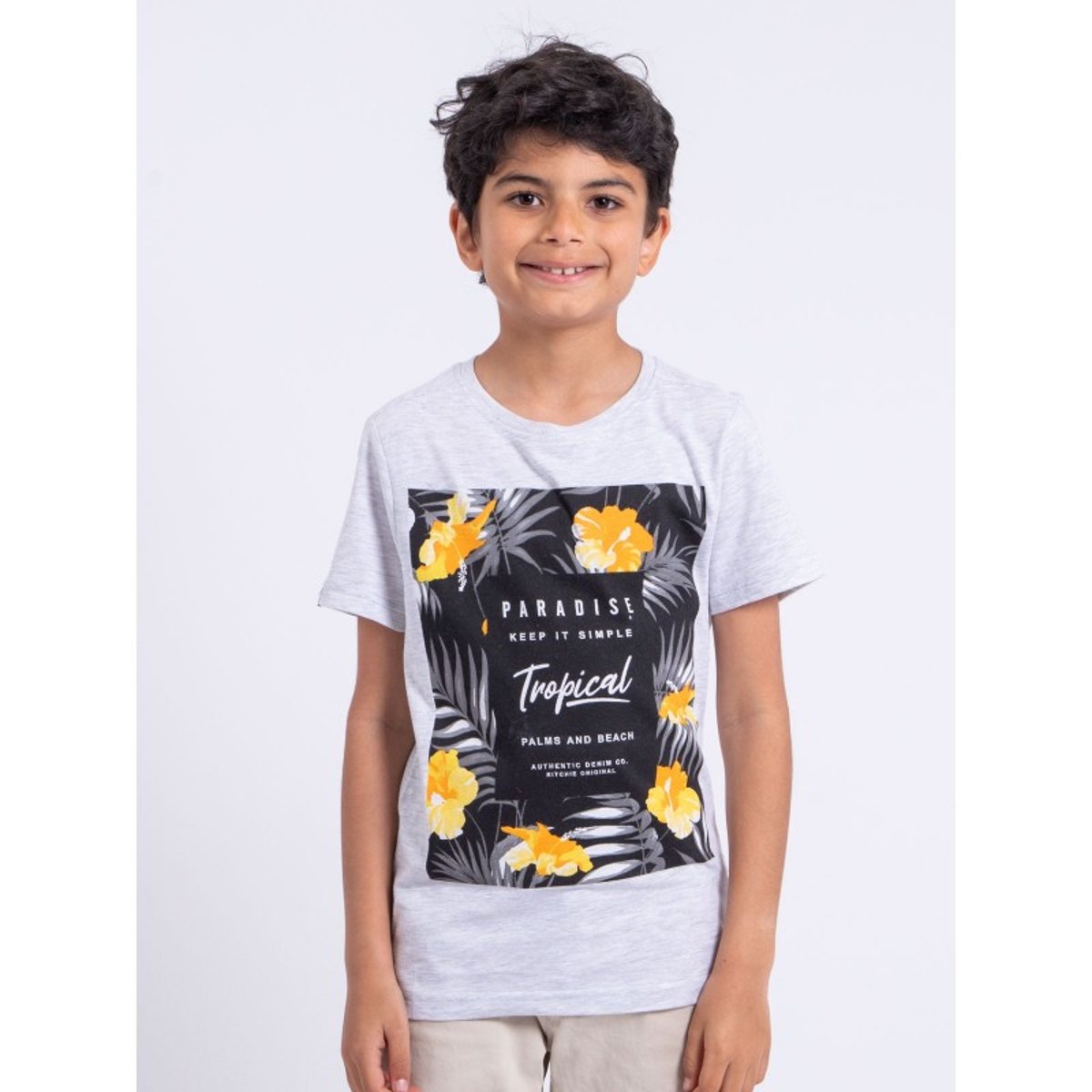 T-shirt Manches Courtes Col Rond Pur Coton Noctavio-j gris, RITCHIE