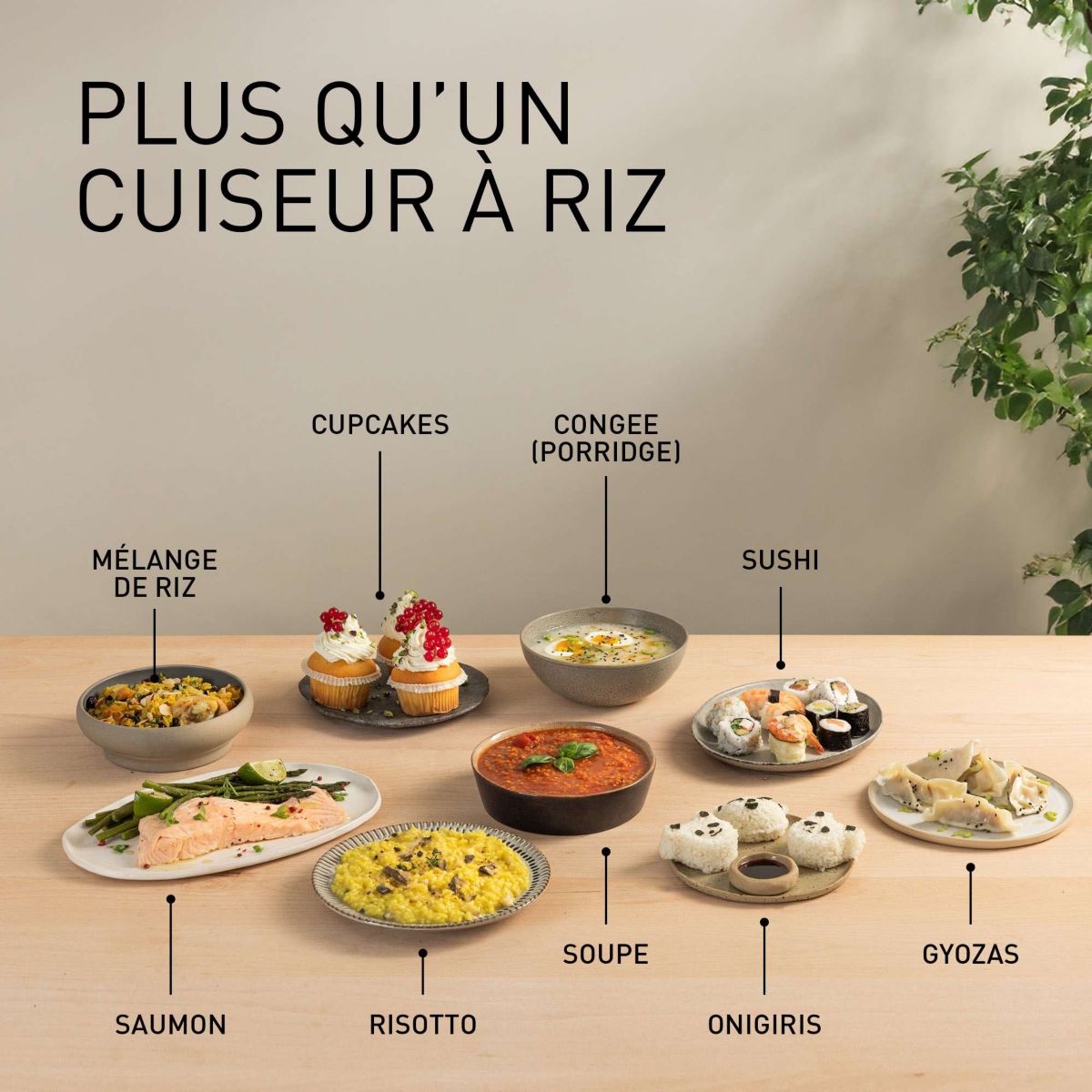 Cuiseur riz SR-DA152KXE couleur unique, PANASONIC
