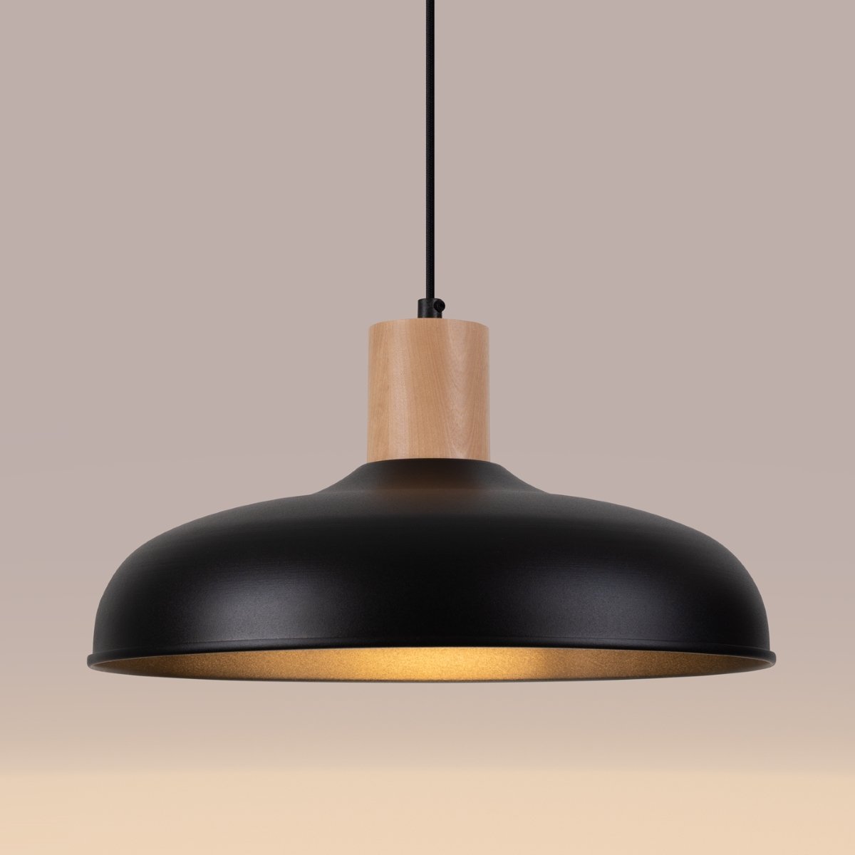 Suspension Acier Noir E27 1 Indy noir, EDEN
