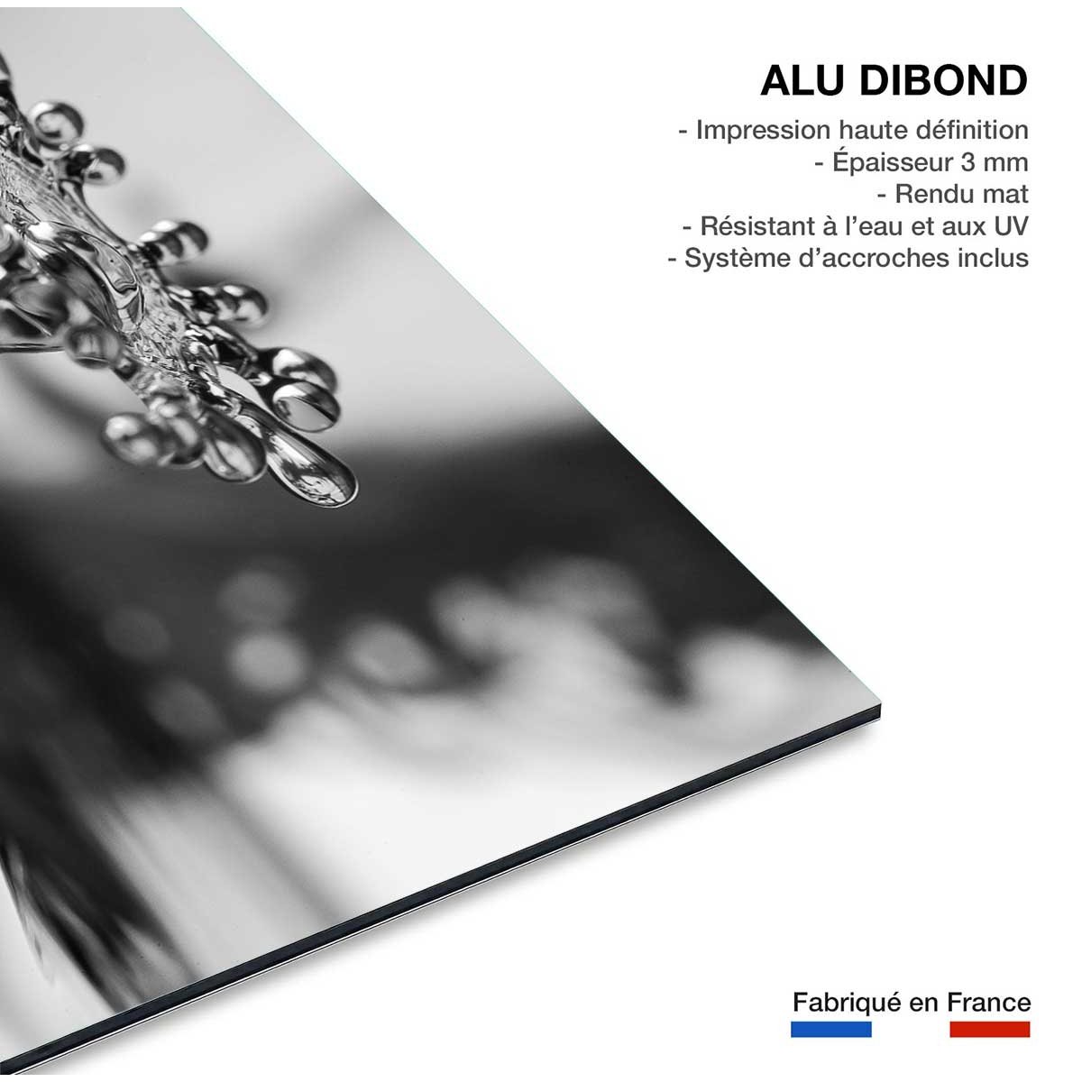 Tableau abstrait liquid drop art tuvia tableau alu dibond, HEXOA