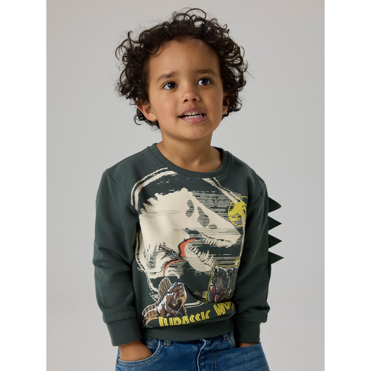 Sweat-Shirt gris - urban chic1, NAME IT