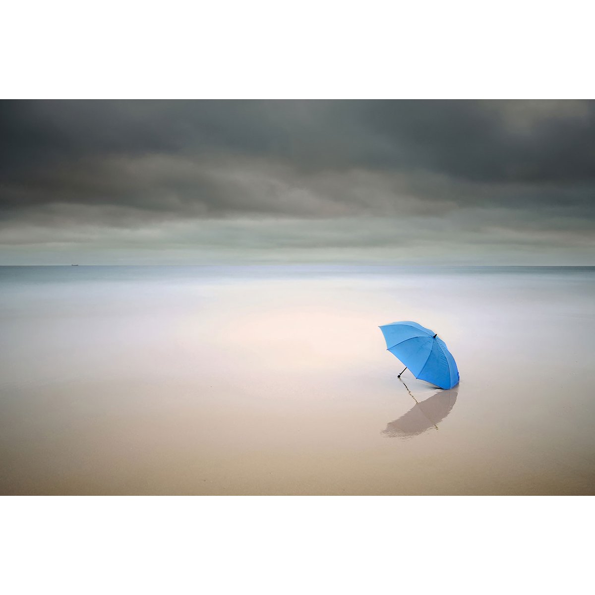 Tableau parapluie bleu tableau alu dibond, HEXOA