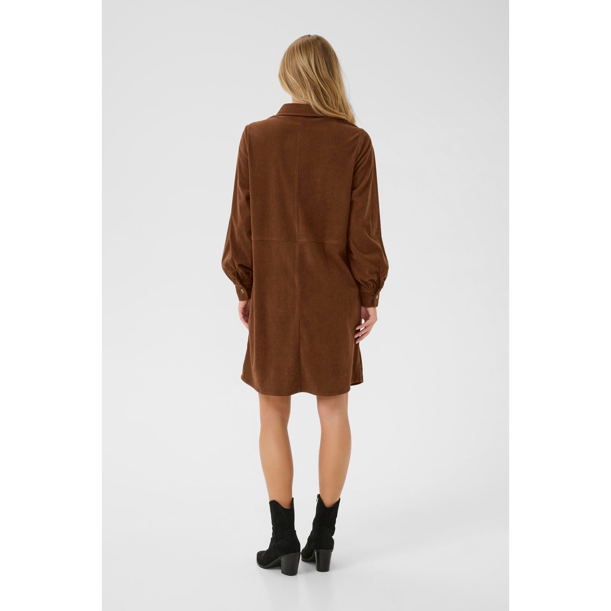 Robe marron sorrel horse, CREAM
