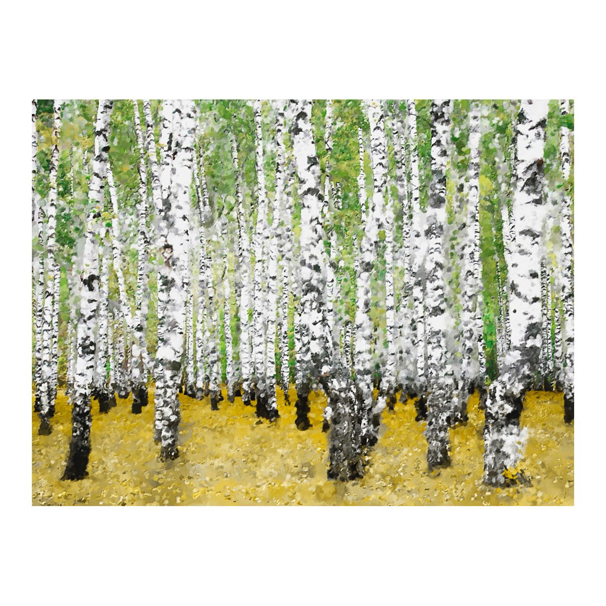 Papier peint intissé panoramique Paysage In birch grove... noir, EDEN