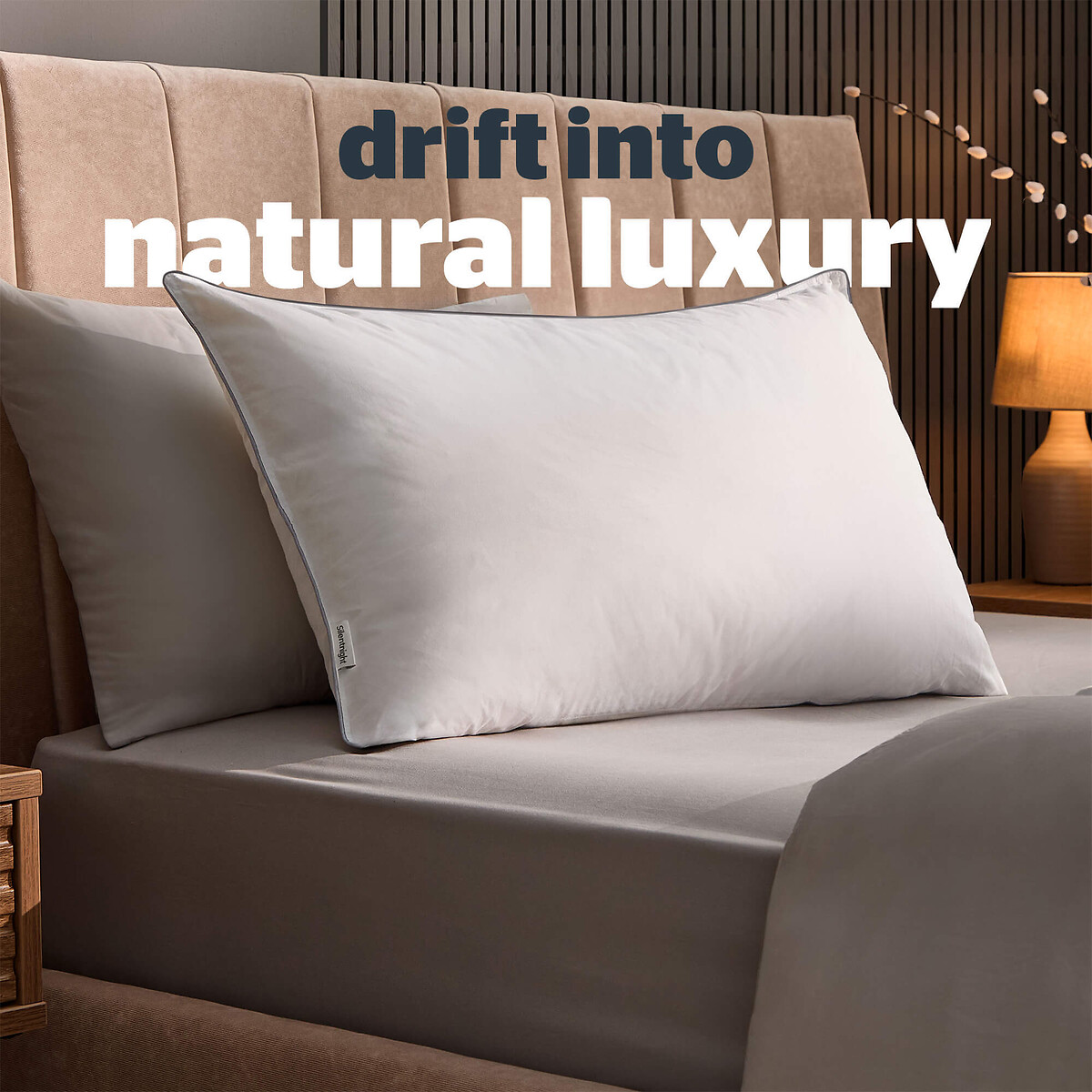 Goose Feather & Down Pillow white, SILENTNIGHT