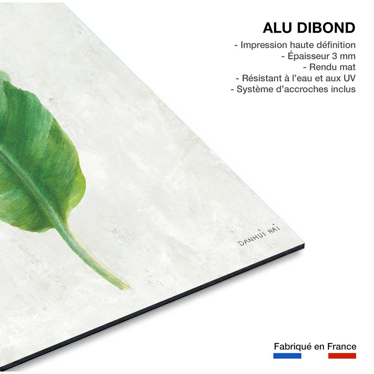 Tableau Feuille de bananier illustrée tableau alu dibond, HEXOA