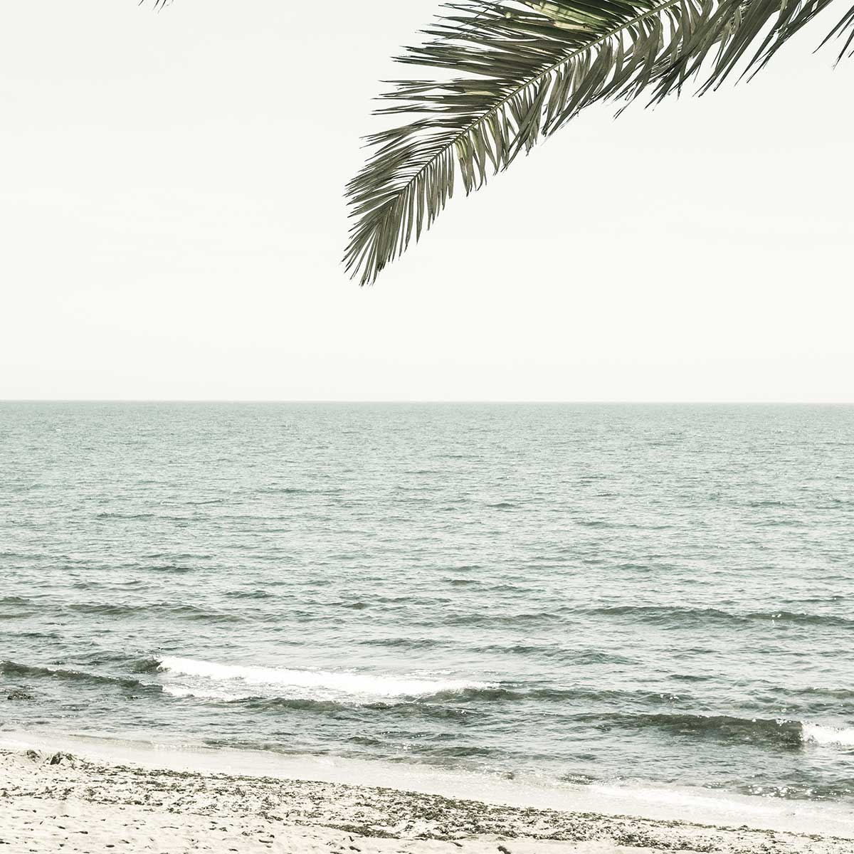 Poster plage tropicale affiche + cadre en bois - noir, HEXOA