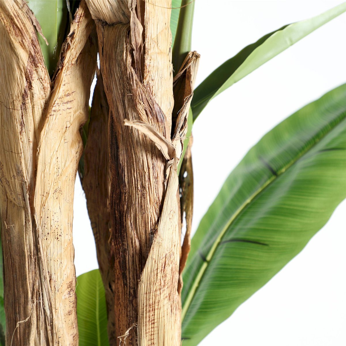Plante décorative bananier, Pliable vert feuillage tropical et tronc marron, RECOLLECTION