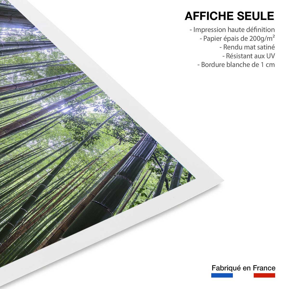 Affiche zen Bambous Geants affiche seule, HEXOA