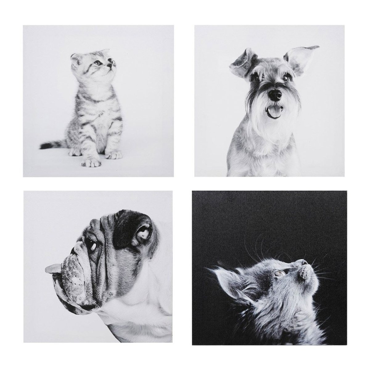 Ensemble de 4 tableaux sur toile imprimée 28x28  Funny gris, DECORATIE