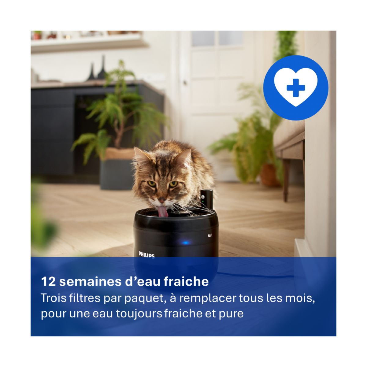 Filtre à eau PAW0010/01 x3 pour fontaine Philips Série Pet couleur unique, PHILIPS