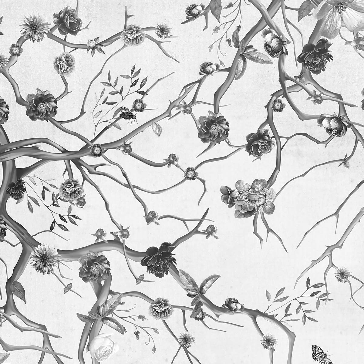 Papier peint panoramique feuilles le printemps n&b intissé, HEXOA
