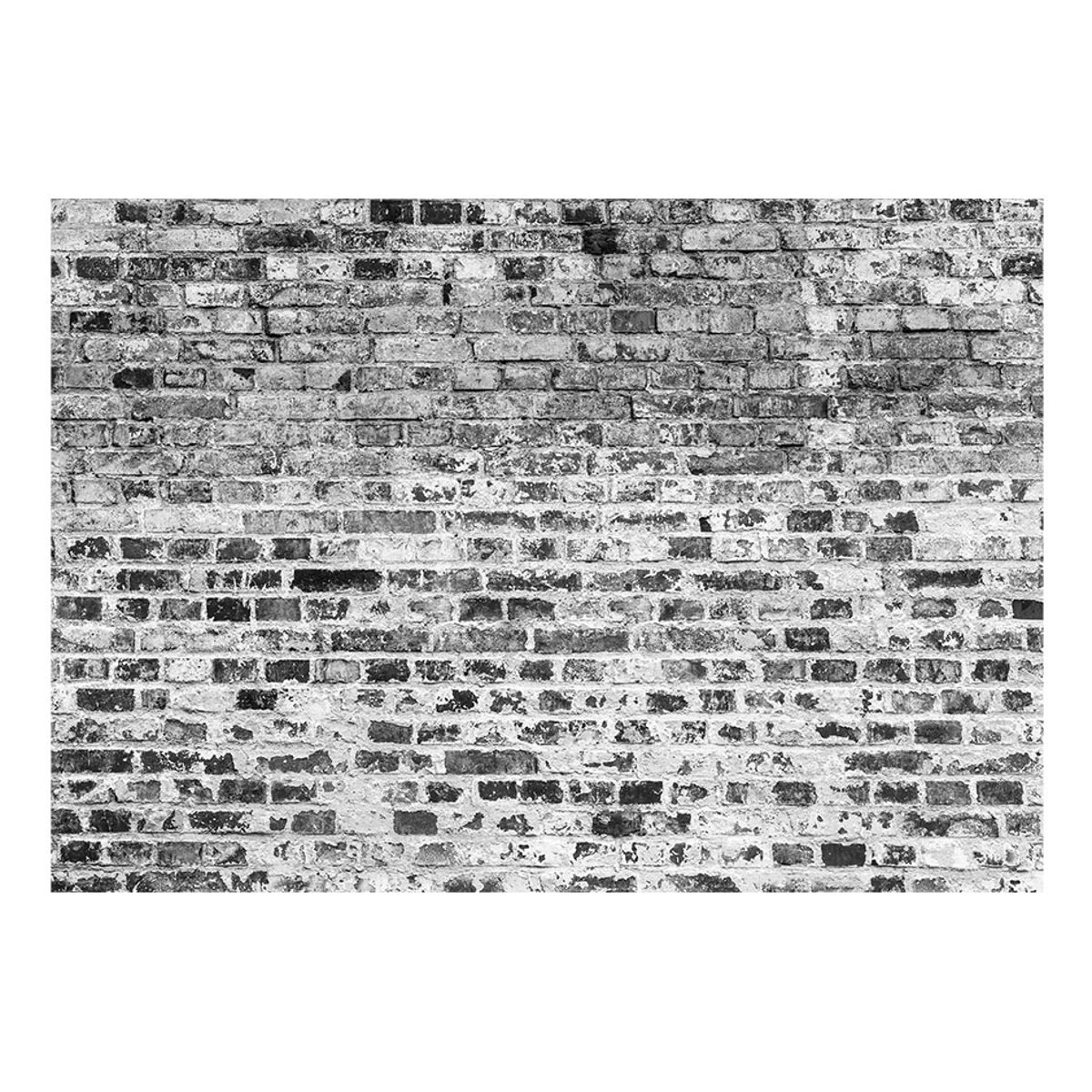 Papier peint intissé panoramique Border of Greynesses gris / argent, EDEN