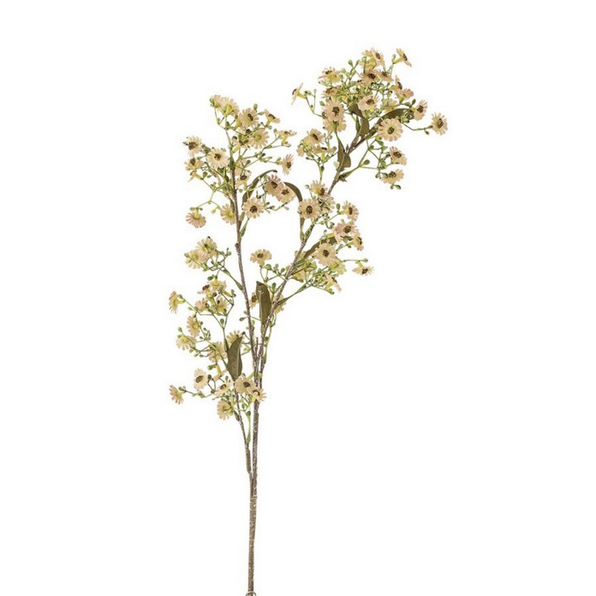 Fleur vivace artificielle Blomingville Waxflower blanc, BLOOMINGVILLE