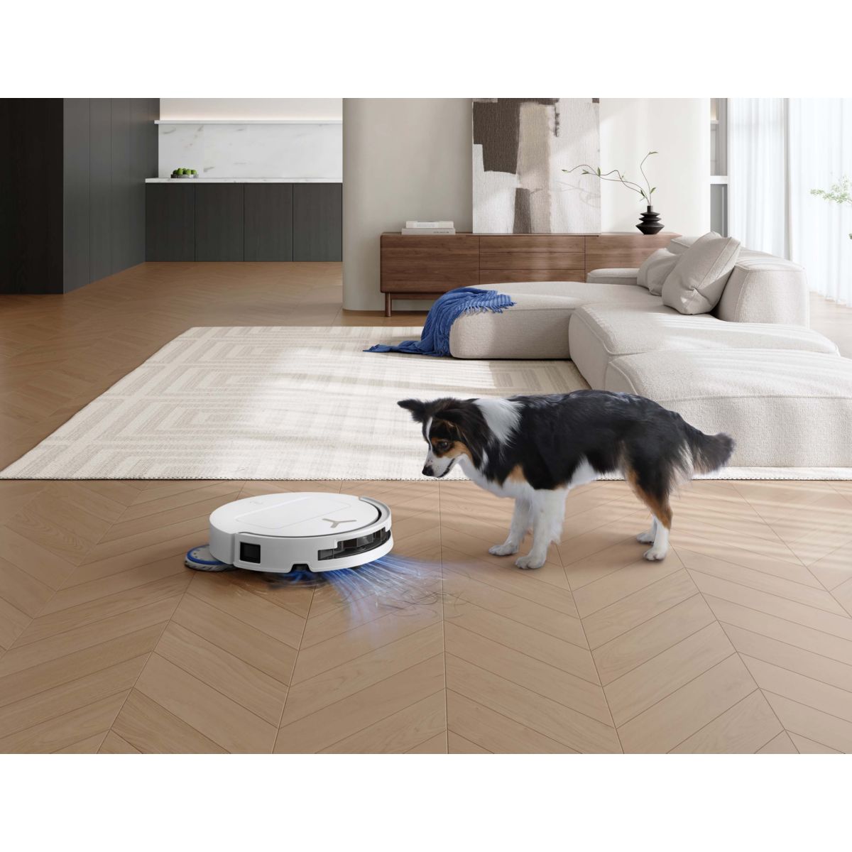 Robot Aspirateur Laveur Deebot T50 Omni Gen3 couleur unique, ECOVACS