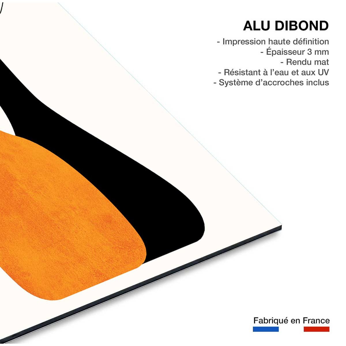 Tableau fleurs plante tableau alu dibond, HEXOA