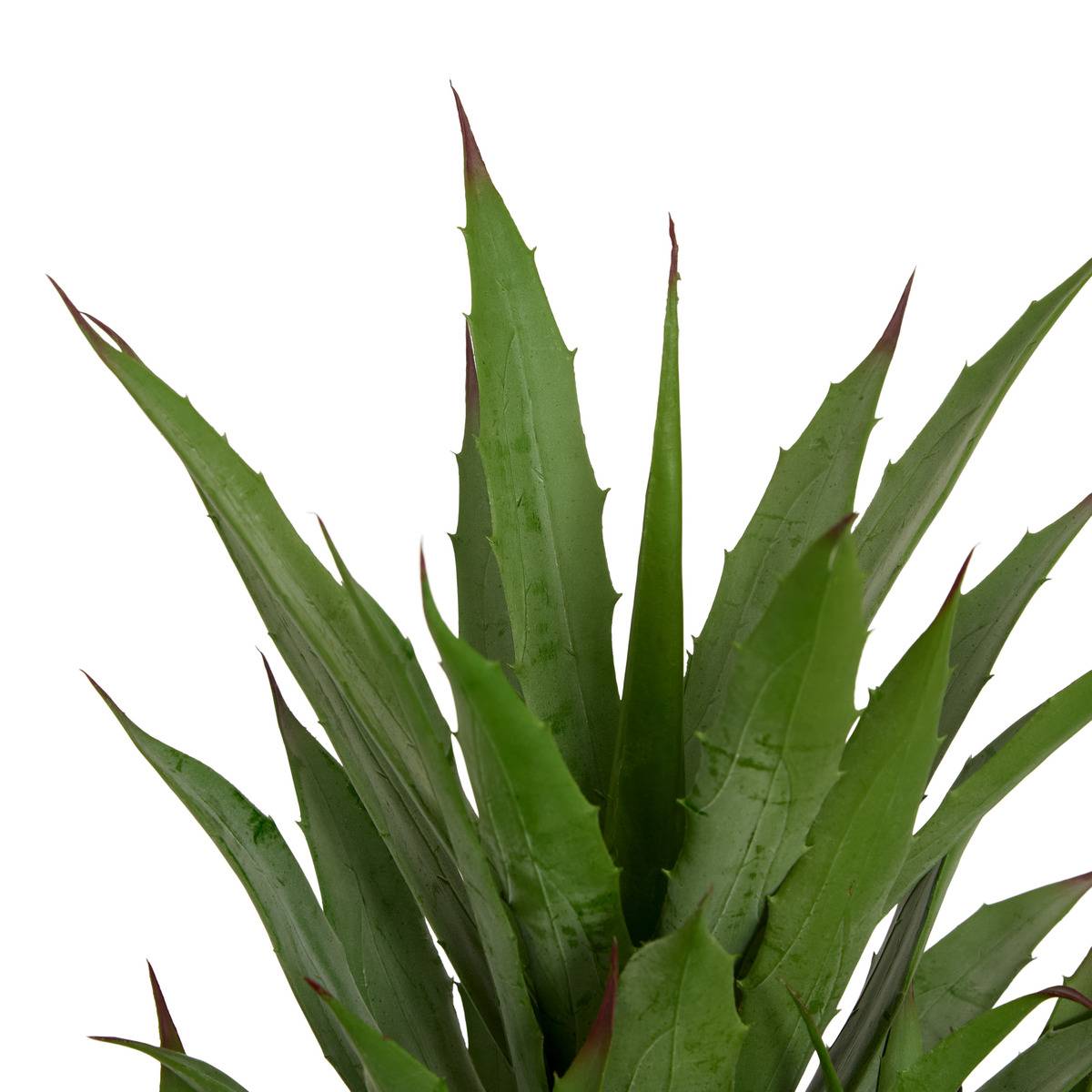 Agave artificiel MODA vert, ATMOSPHERA