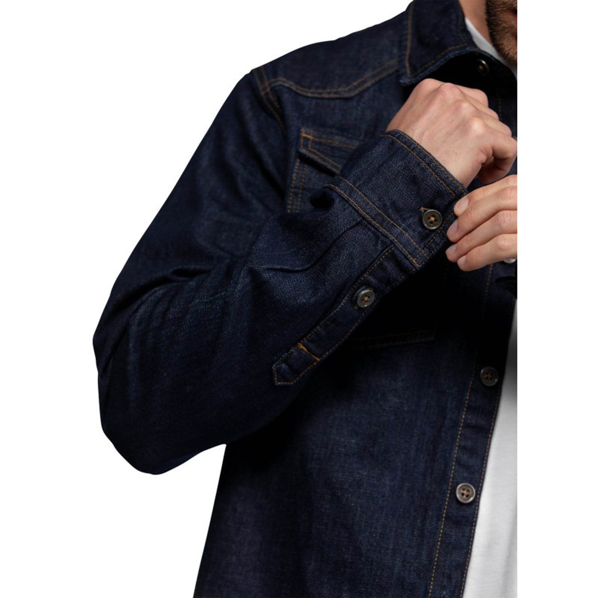 Chemise Daytona coton avec manches longues et col à rabats brut brut, DAYTONA