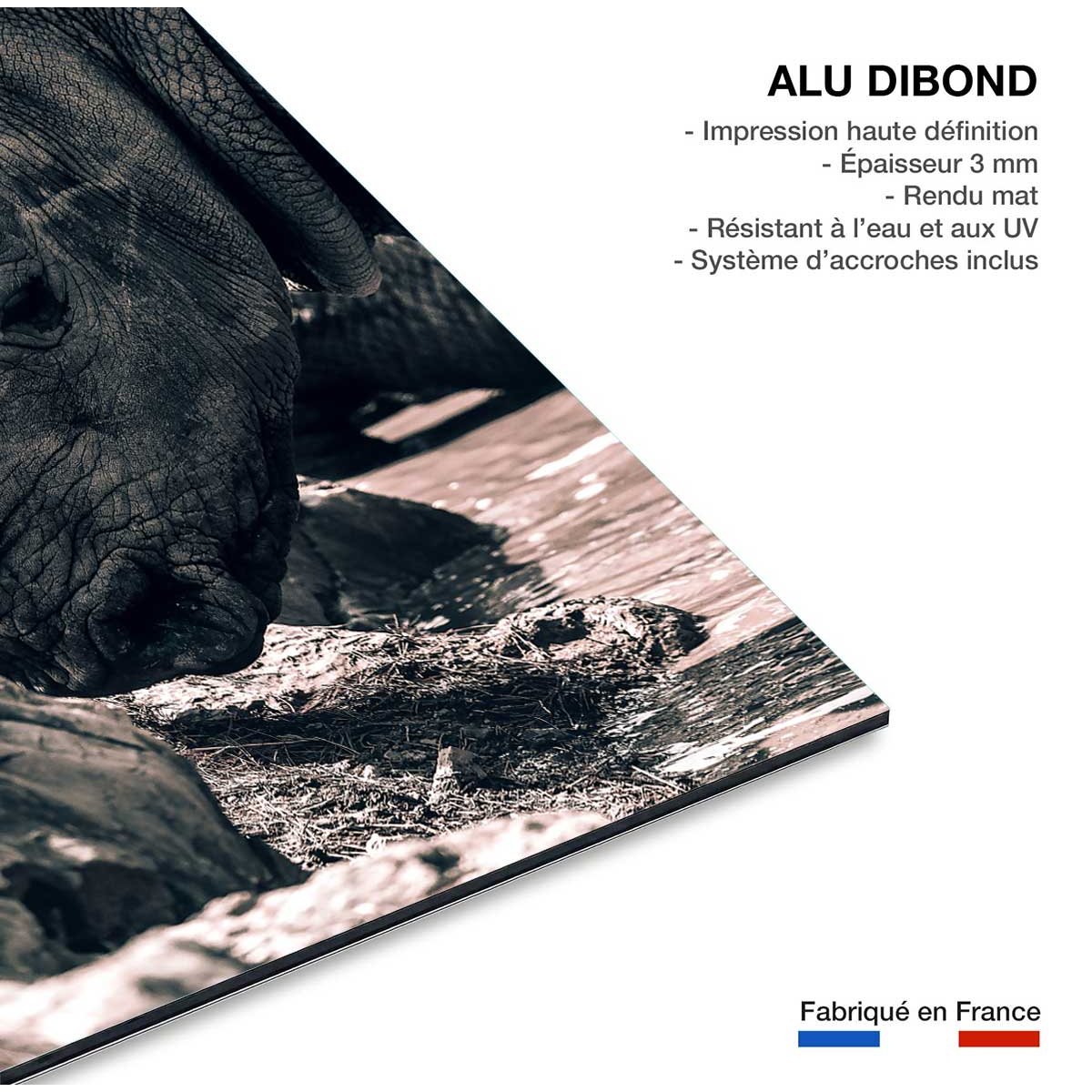 Tableau rhinoceros hommage à sudan.. tableau alu dibond, HEXOA