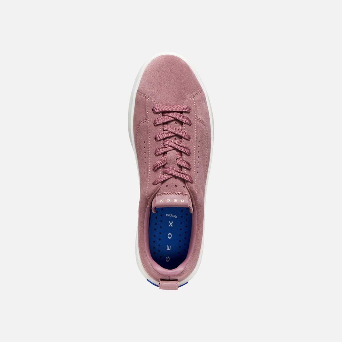 Baskets D GXCP-01 vieux rose, GEOX