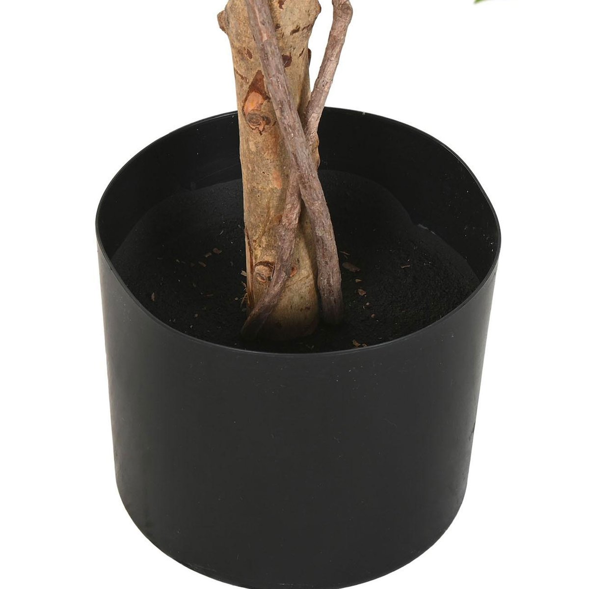 Plante artificielle d'intérieur ficus 56x56x150cm vert, WADIGA