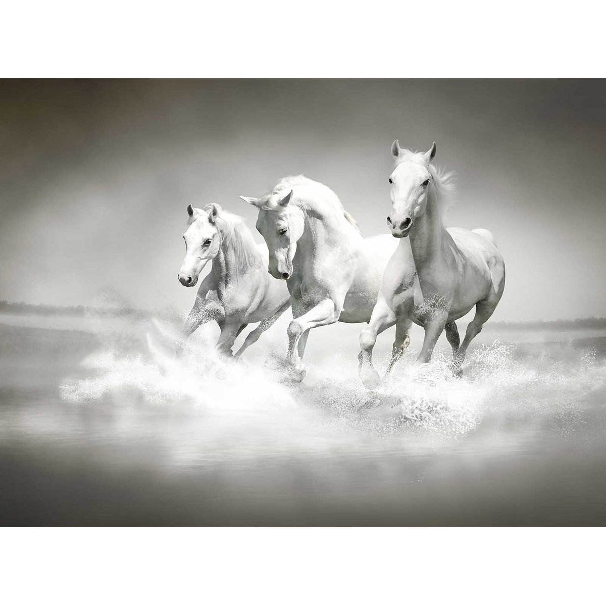 Papier peint chevaux blancs au galop intissé, HEXOA