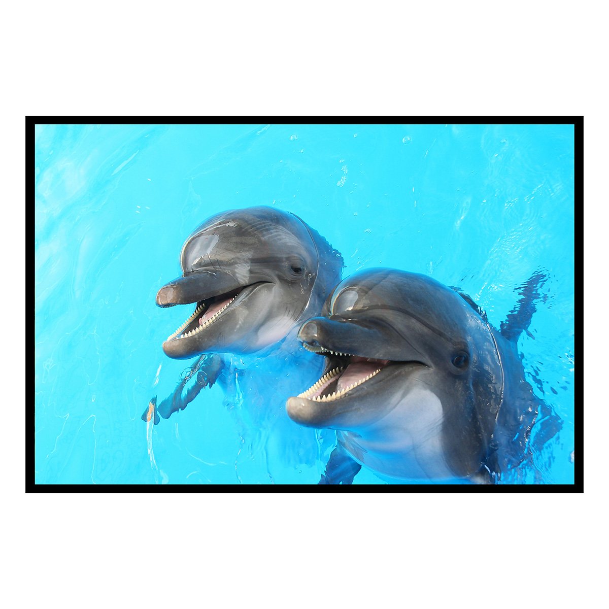 Affiche encadrée dauphins sous l’eau affiche + cadre en métal - noir, HEXOA
