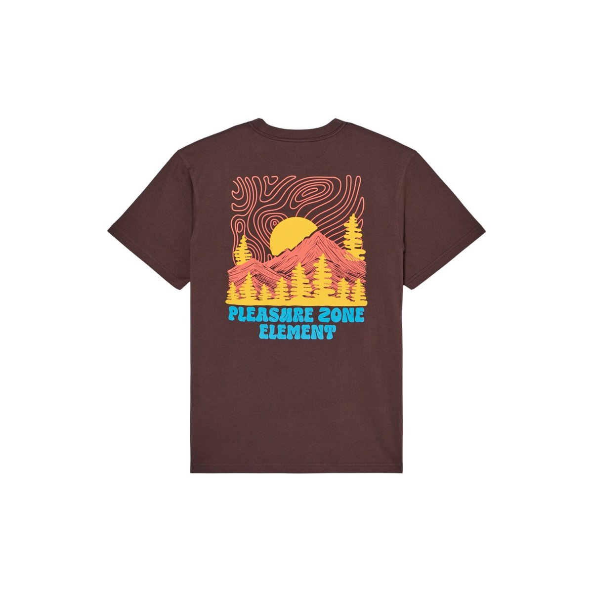 T-Shirt manches courtes PLEASURE marron java, ELEMENT