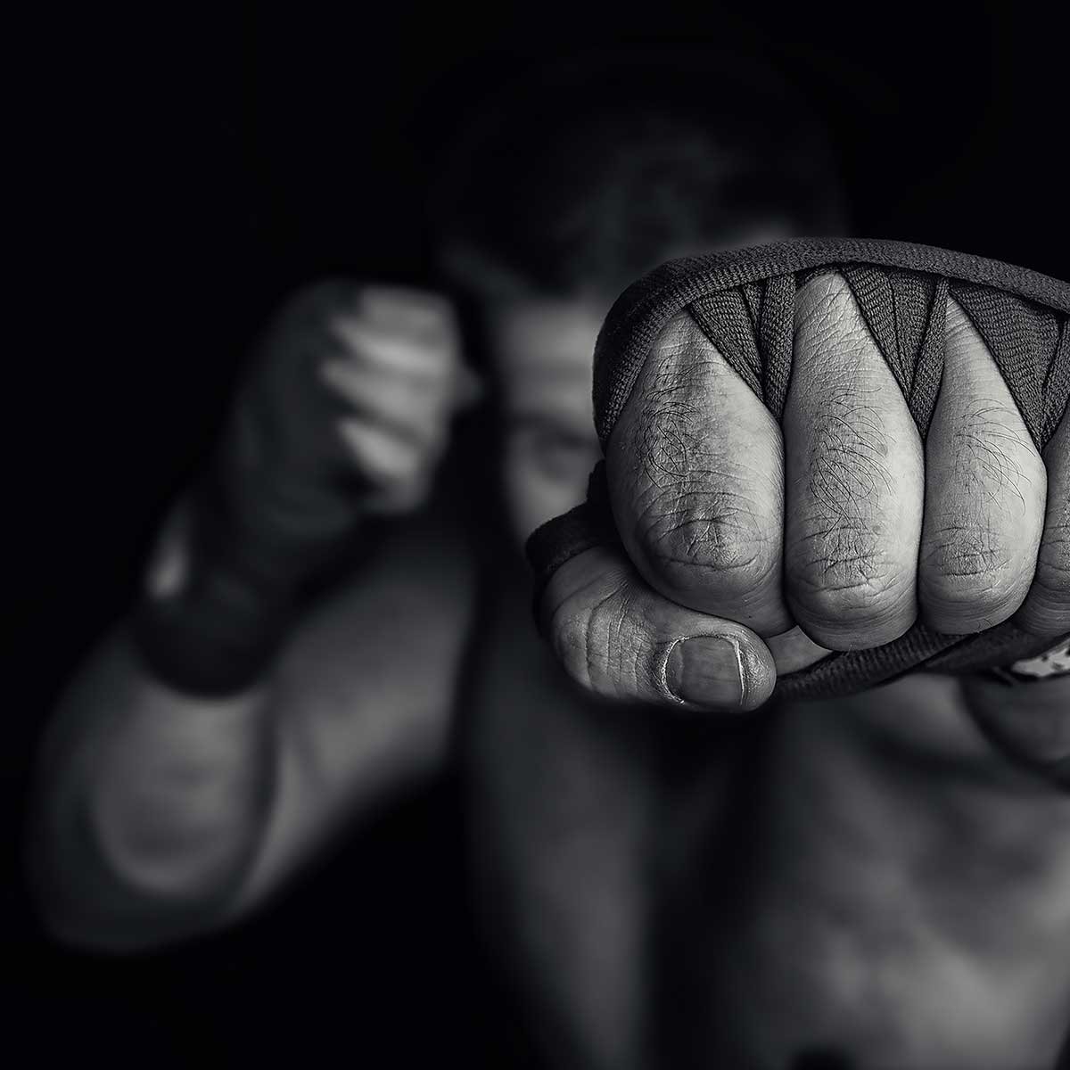 Tableau boxe left wing tableau alu dibond, HEXOA