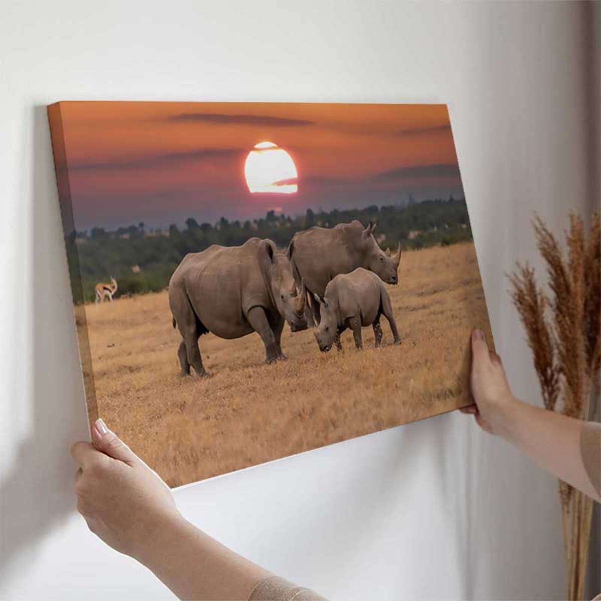 Tableau rhinocéros en famille au coucher du soleil toile imprimée, HEXOA