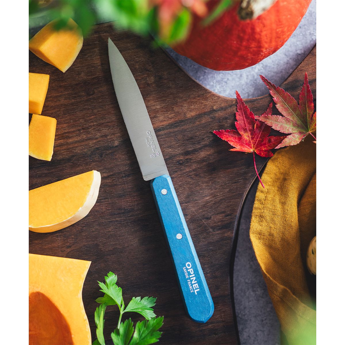Couteau Coffret de 4 pcs N112 Paysage couleur unique, OPINEL