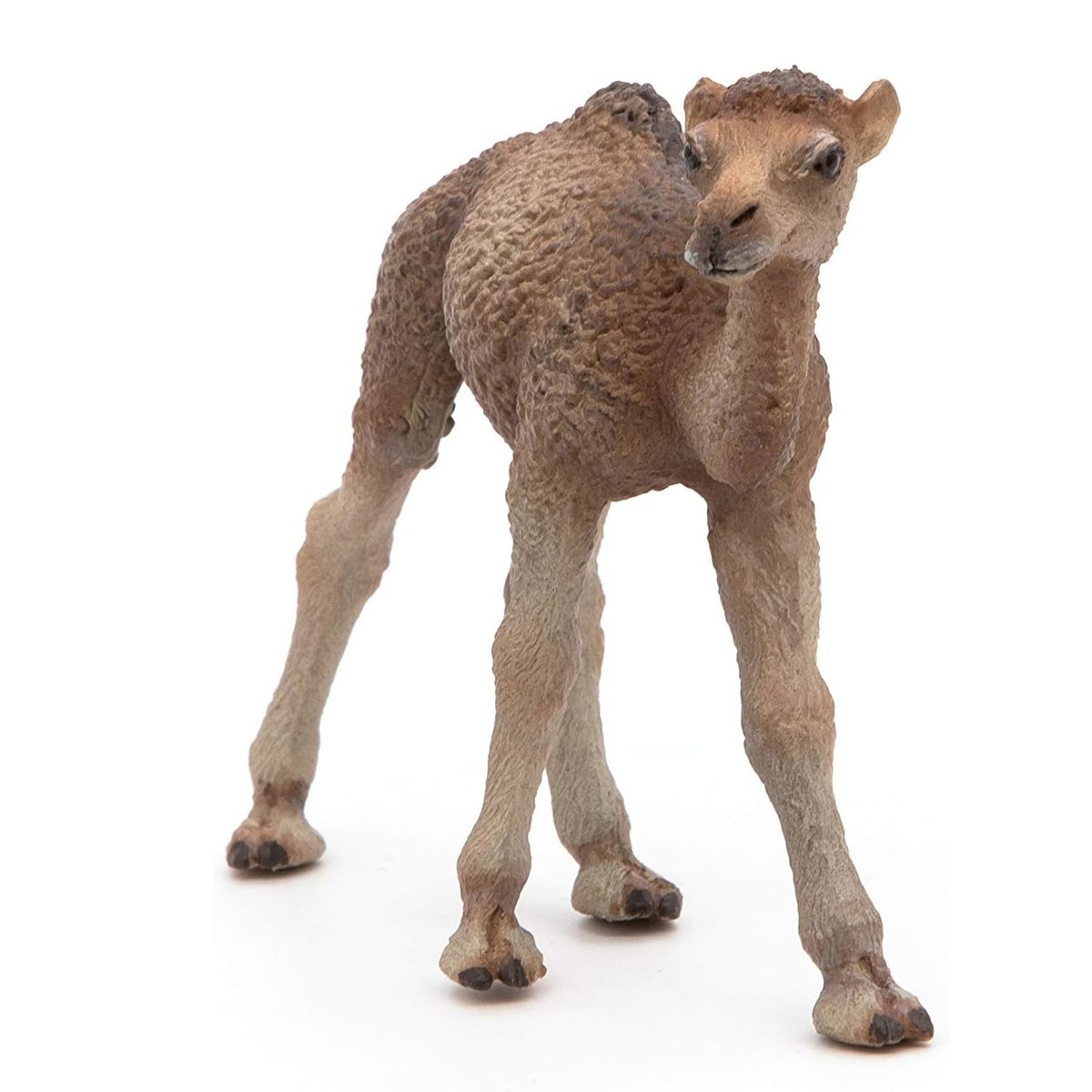 Figurine Bébé dromadaire marron, PAPO