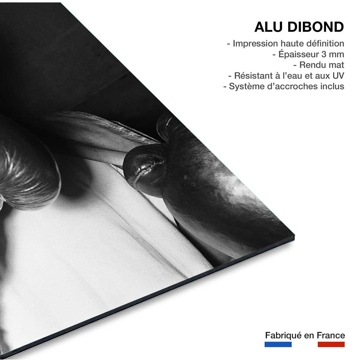 Tableau star de boxeTigers Jones tableau alu dibond, HEXOA