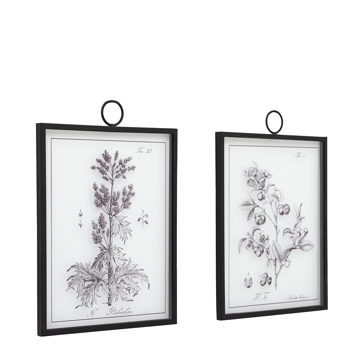 Set of 2 Petiole Art black, ÉDITÉ