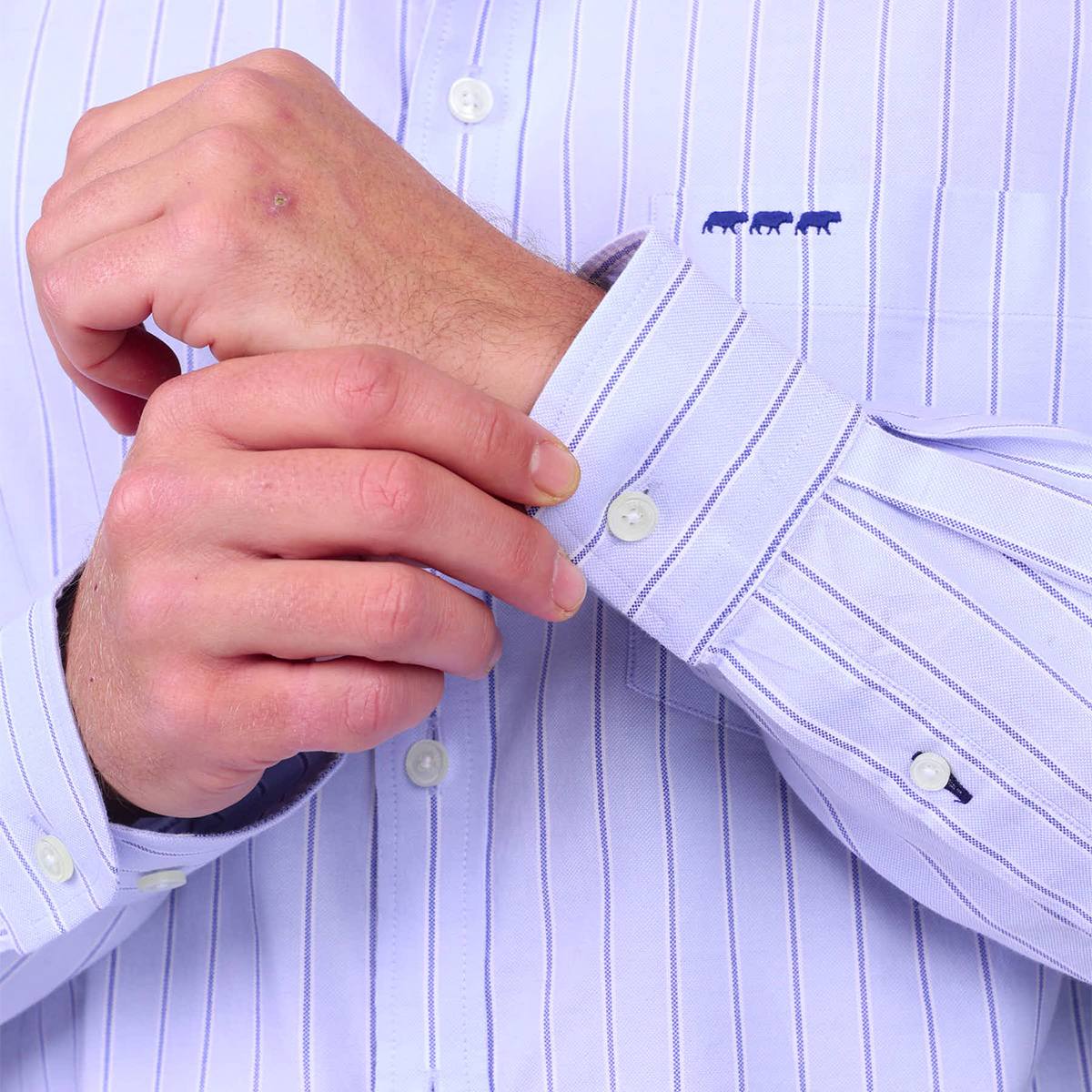 Chemise rayée bleu ciel, MISE AU GREEN