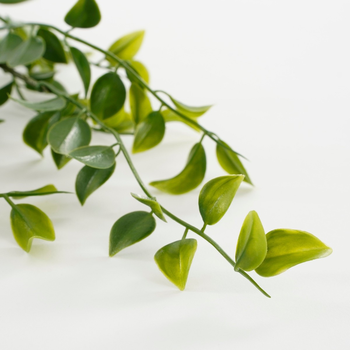 Plante artificielle FICUS vert, MICA DECORATIONS