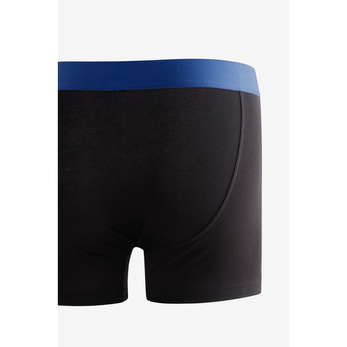 Boxer, lot de 5 ceinture noire de couleur vive, NEXT