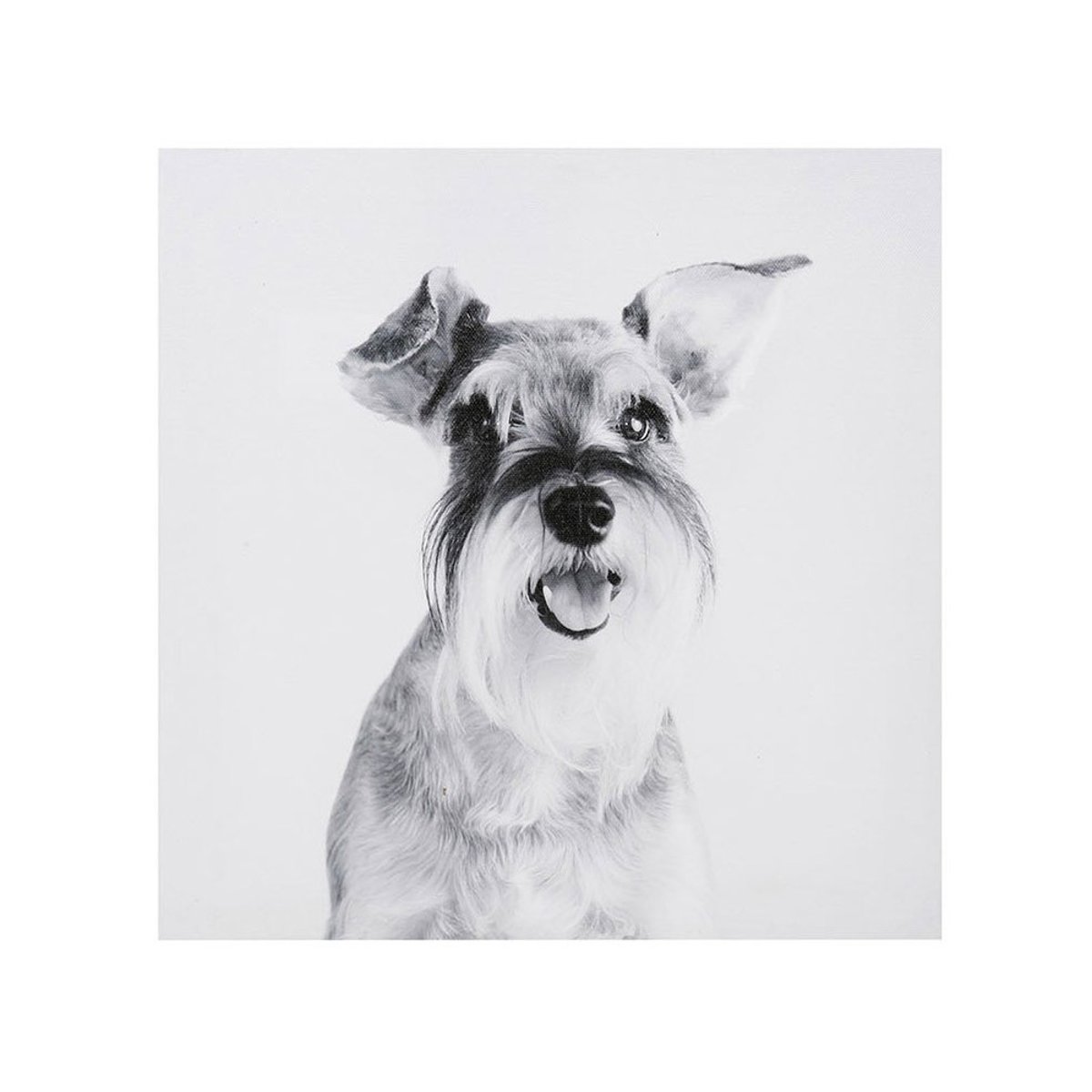 Ensemble de 4 tableaux sur toile imprimée 28x28  Funny gris, DECORATIE