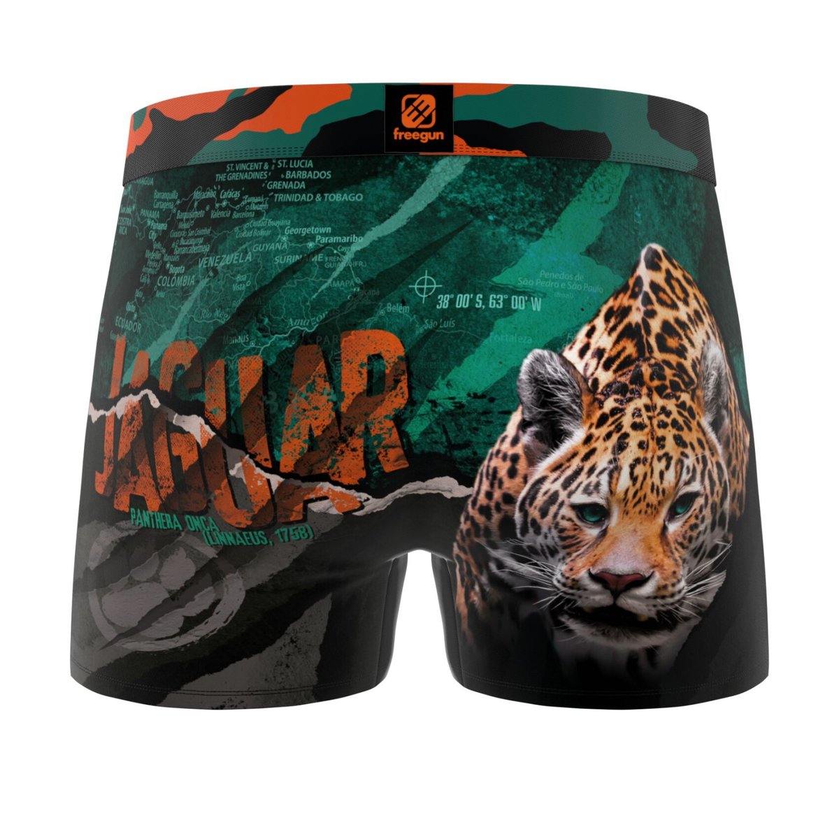 Lot De 4 Boxers Savage Animals marron/jaune/noir/vert/noir, FREEGUN