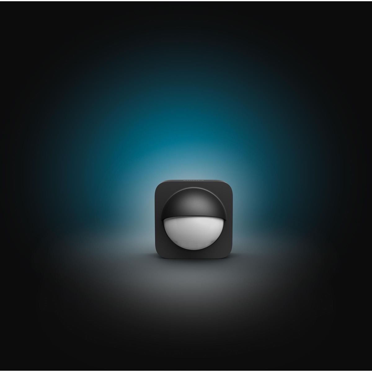 Détecteur Motion Sensor Extérieur coloris unique, PHILIPS HUE