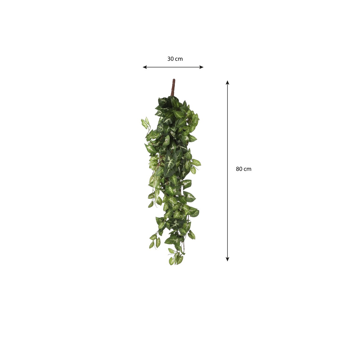 Plante artificielle FITTONIA vert, MICA DECORATIONS
