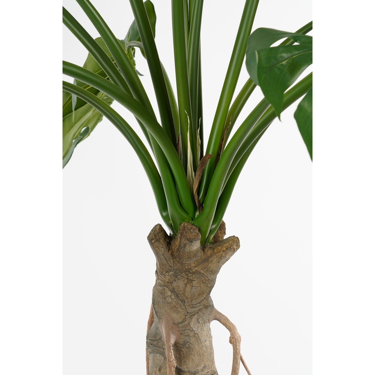 Plante artificielle MONSTERA vert, MICA DECORATIONS