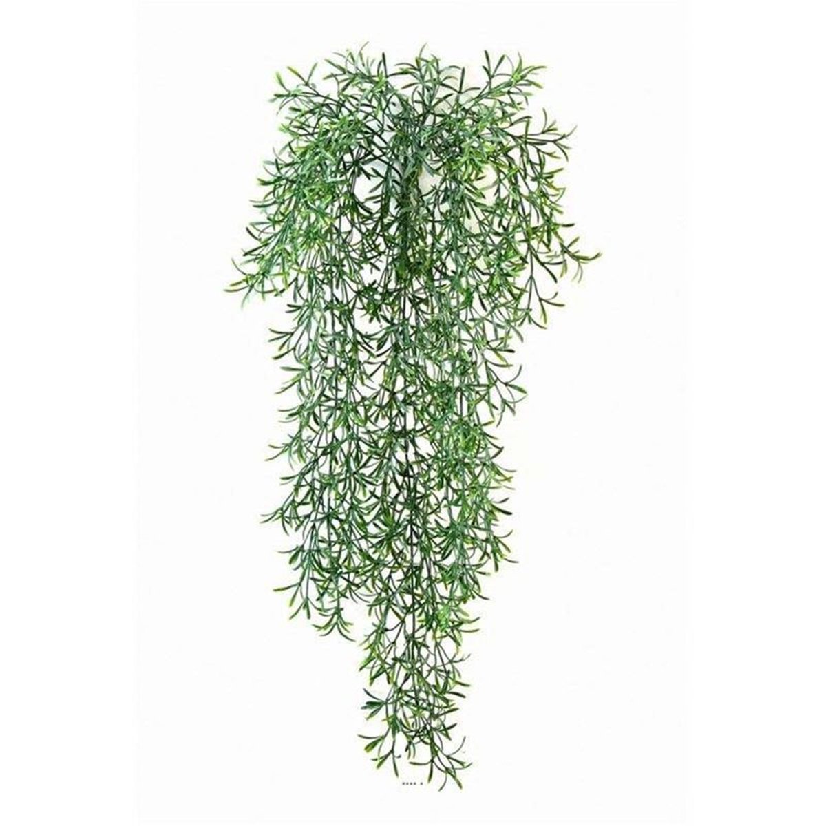 Feuillage factice Asparagus Sauvage en v002239, ARTIFICIELLES