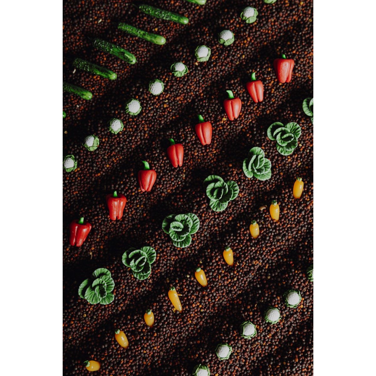 Bouteille sensorielle Légumes multicolore, PETIT BOUM