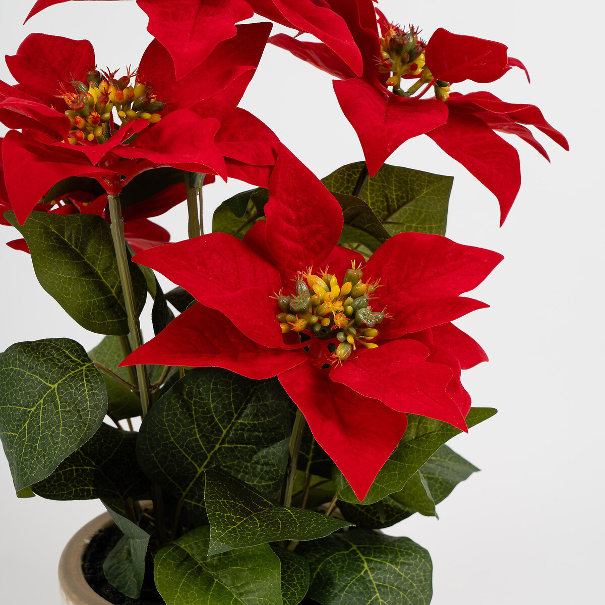 43cm Poinsettia in Traditional Pot red, SO'HOME