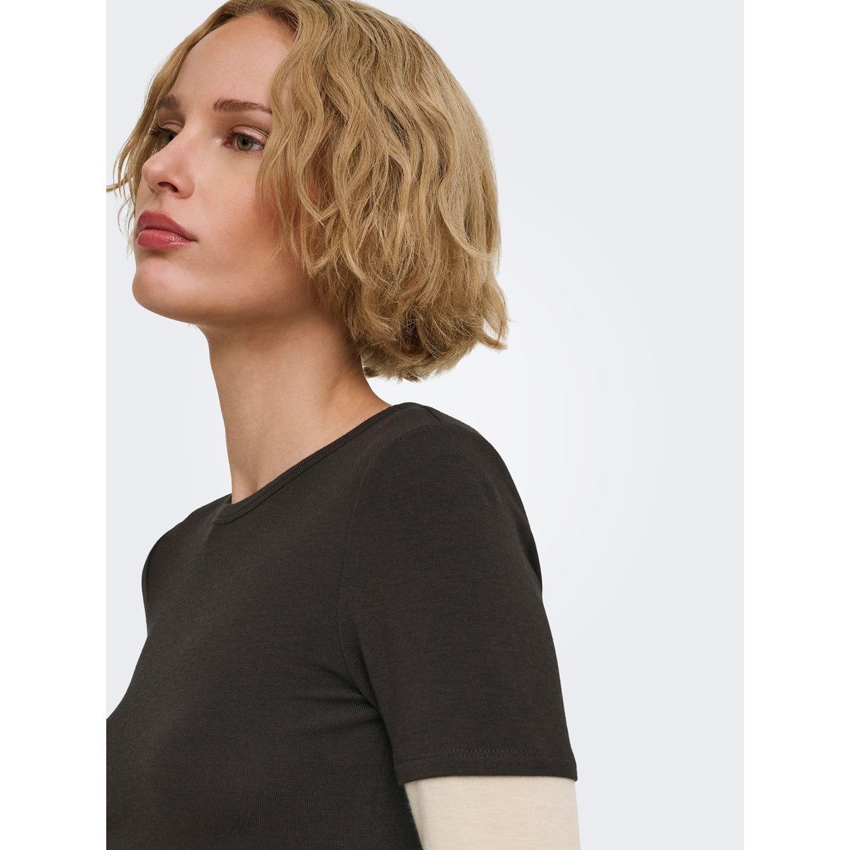 Top chocolate torte, ONLY