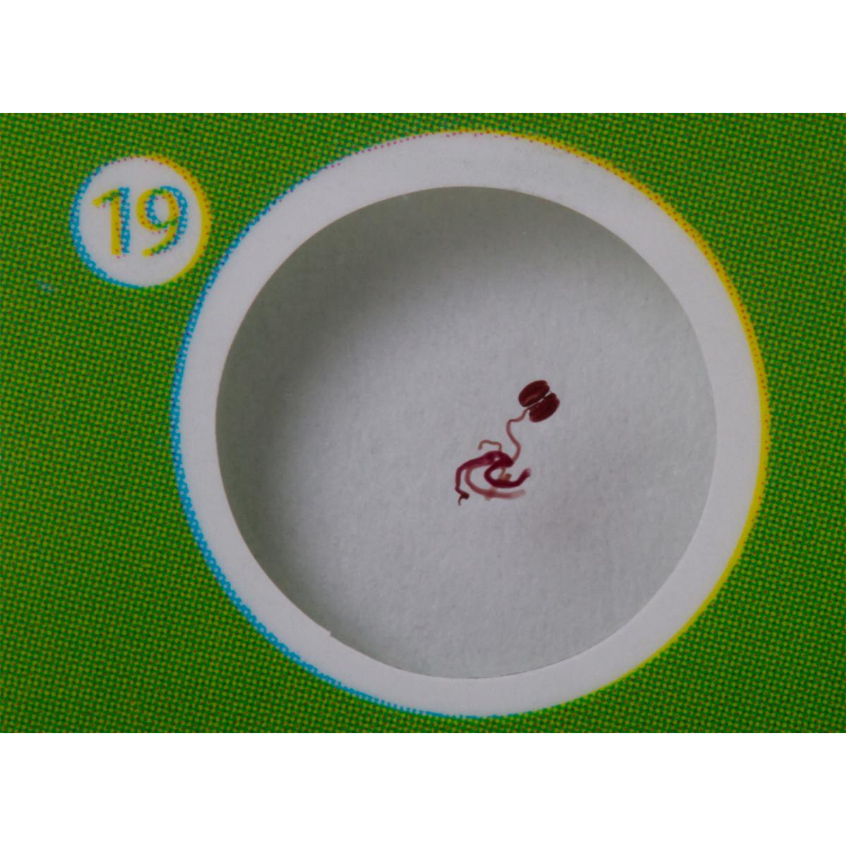 Lames pour microscopes Levenhuk LabZZ P Plantes couleur unique, LABZZ